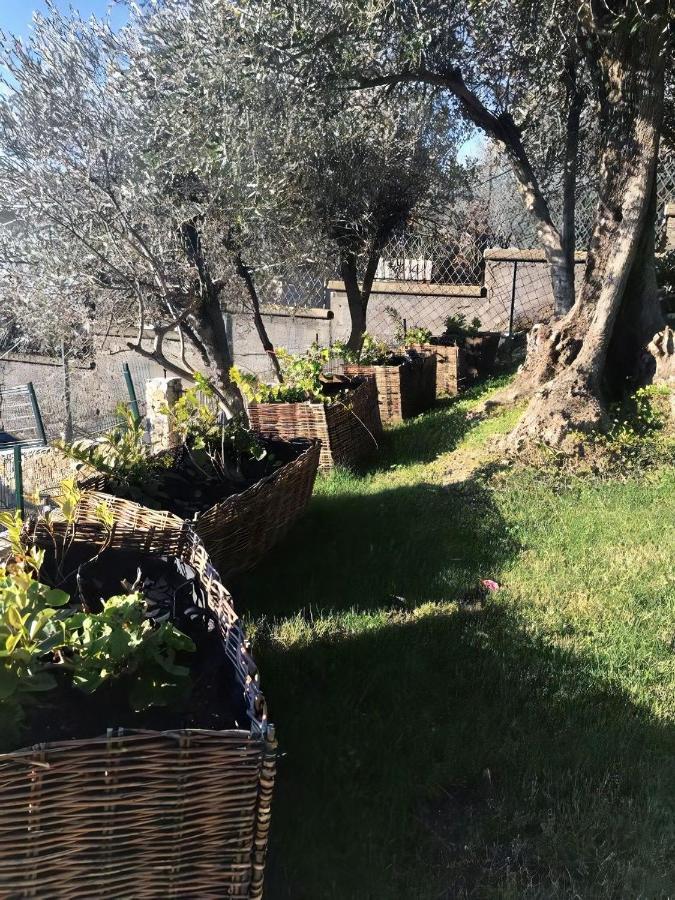 Agriturismo Le Pale 2 Swimming Pool And Parking 보글리아스코 외부 사진